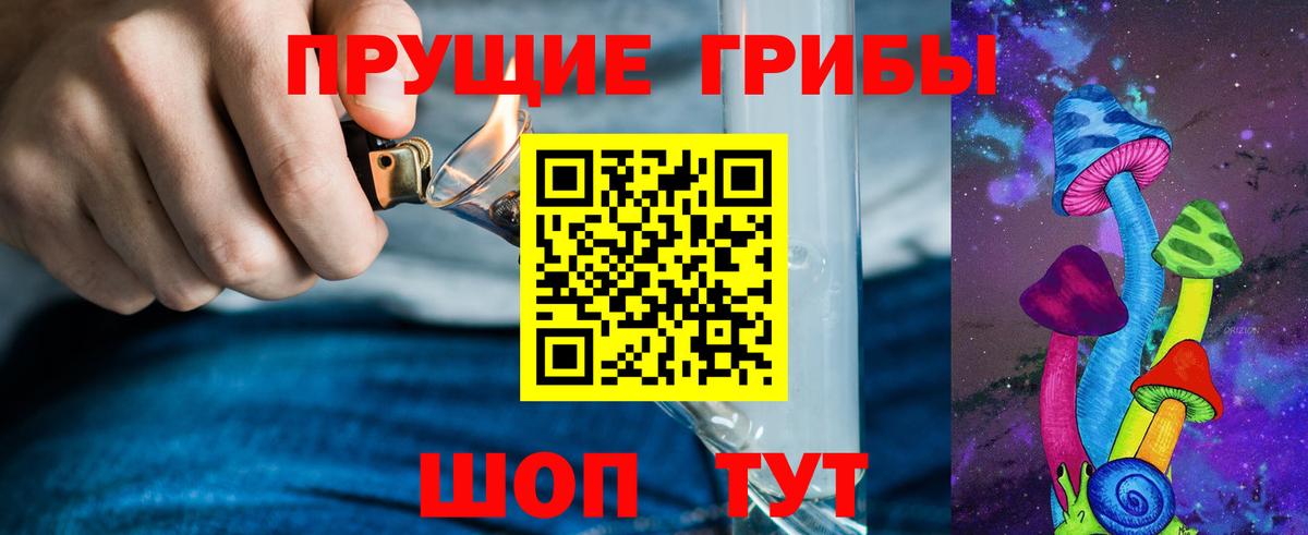Псилоцибиновые грибы Psilocybe  Вход с VPN  Псилоцибиновые грибы Cubensis  Городец 