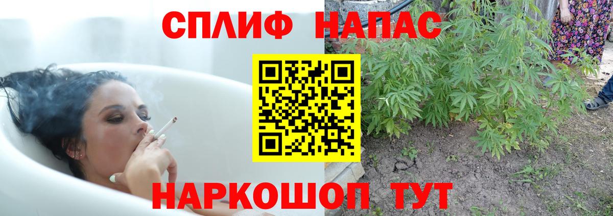 Городец  Шишки марихуана семена  Конопля Ganja  Вход с VPN  Каннабис индика 